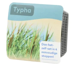 Teichpflanzen Komplett-Set Breitblättriger Rohrkolben, 6-teilig