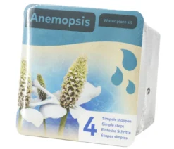 Teichpflanzen Komplett-Set Scheinanemone, 5-teilig