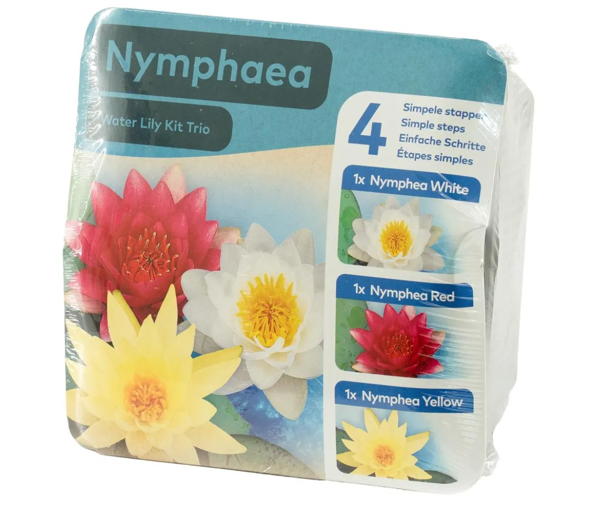 Teichpflanzen Komplett-Set Seerose, 6-teilig