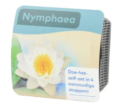 Teichpflanzen Komplett-Set Seerose, 6-teilig