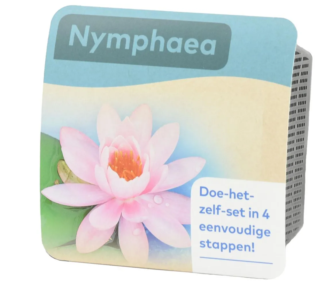 Teichpflanzen Komplett-Set Seerose, 6-teilig