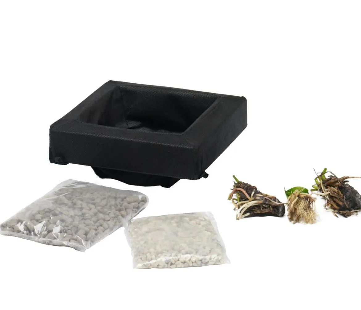 Teichpflanzen Komplett-Set Vielfalt, 6-teilig