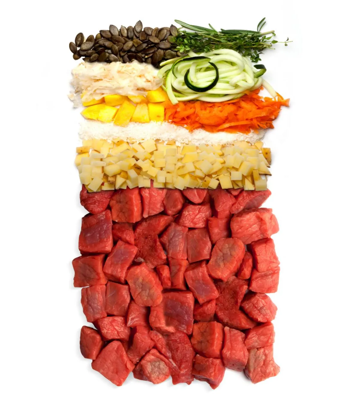 Terra Canis Trockenfutter für Hunde Canireo, Rind