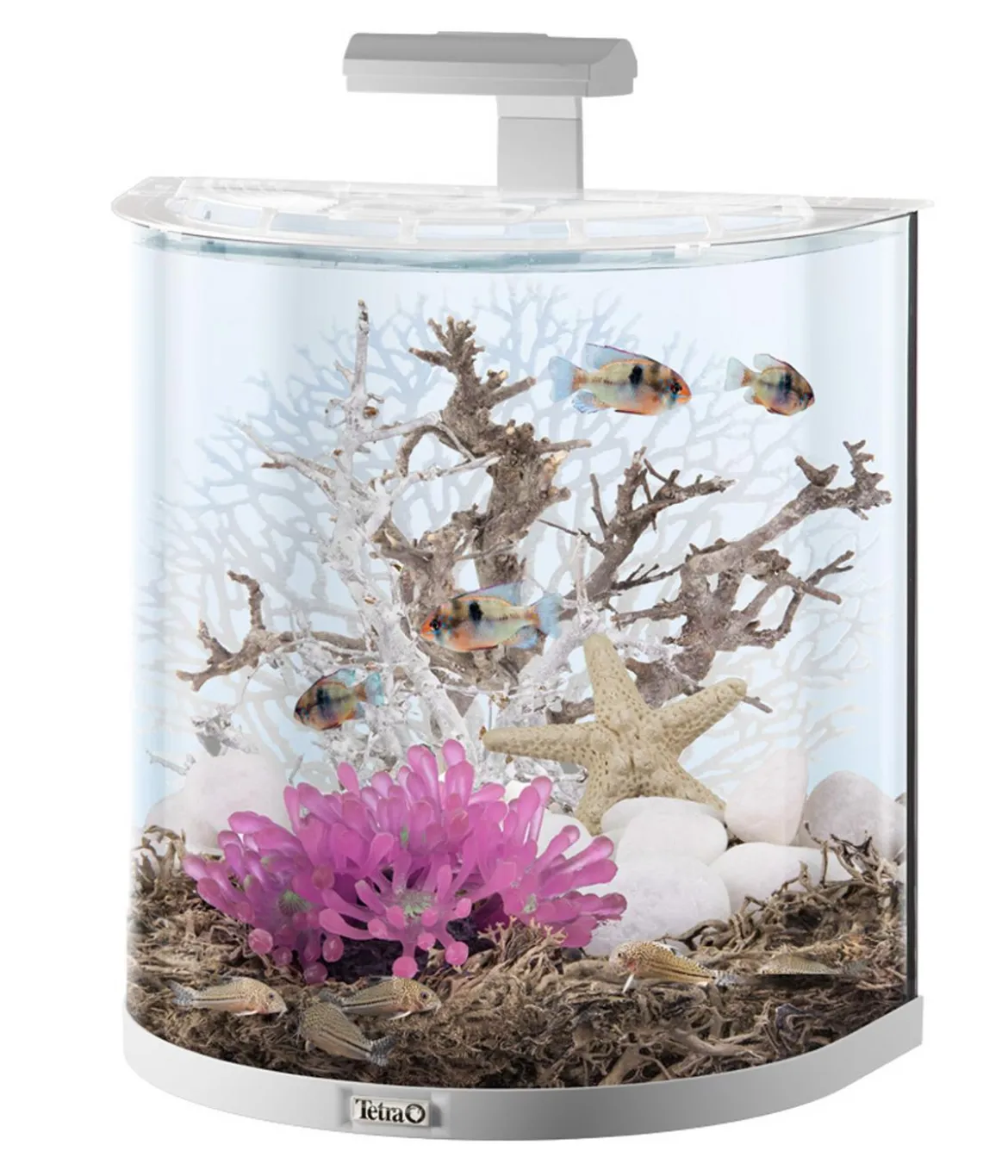 Tetra AquaArt Set LED Explorer-Line, weiß, 60 l
