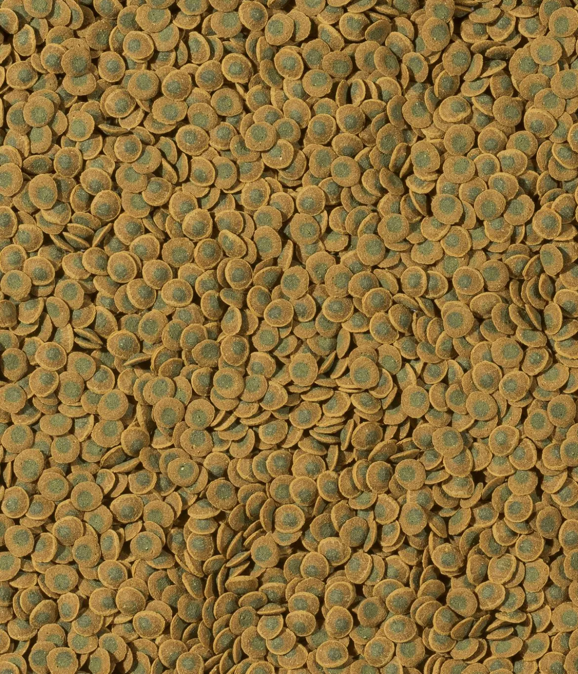 Tetra Fischfutter Pleco VeggieWafers