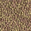 Tetra Fischfutter Tablets TabiMin