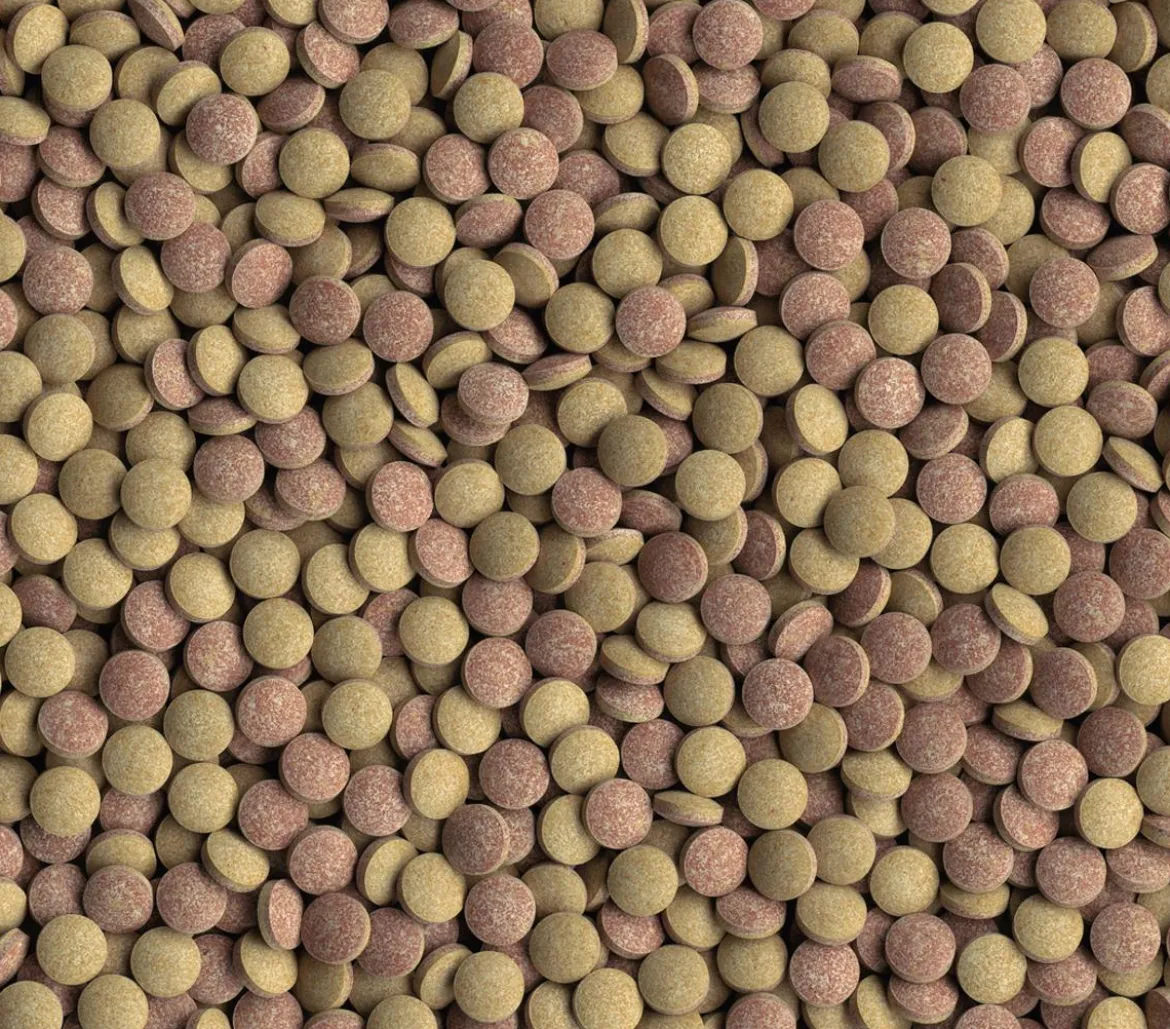 Tetra Fischfutter Tablets TabiMin