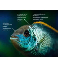 Tetra Fischfutter TetraPro Colour Multi-Crisps
