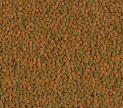 Tetra Fischfutter Wafer MiniMix, 100 ml