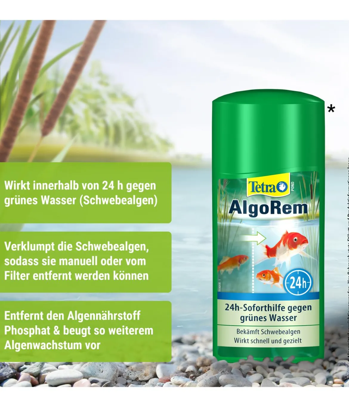 Tetra Pond AlgoRem, 24h-Soforthilfe