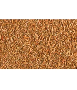 Tetra Pond Teichfischsnack Shrimp Mix