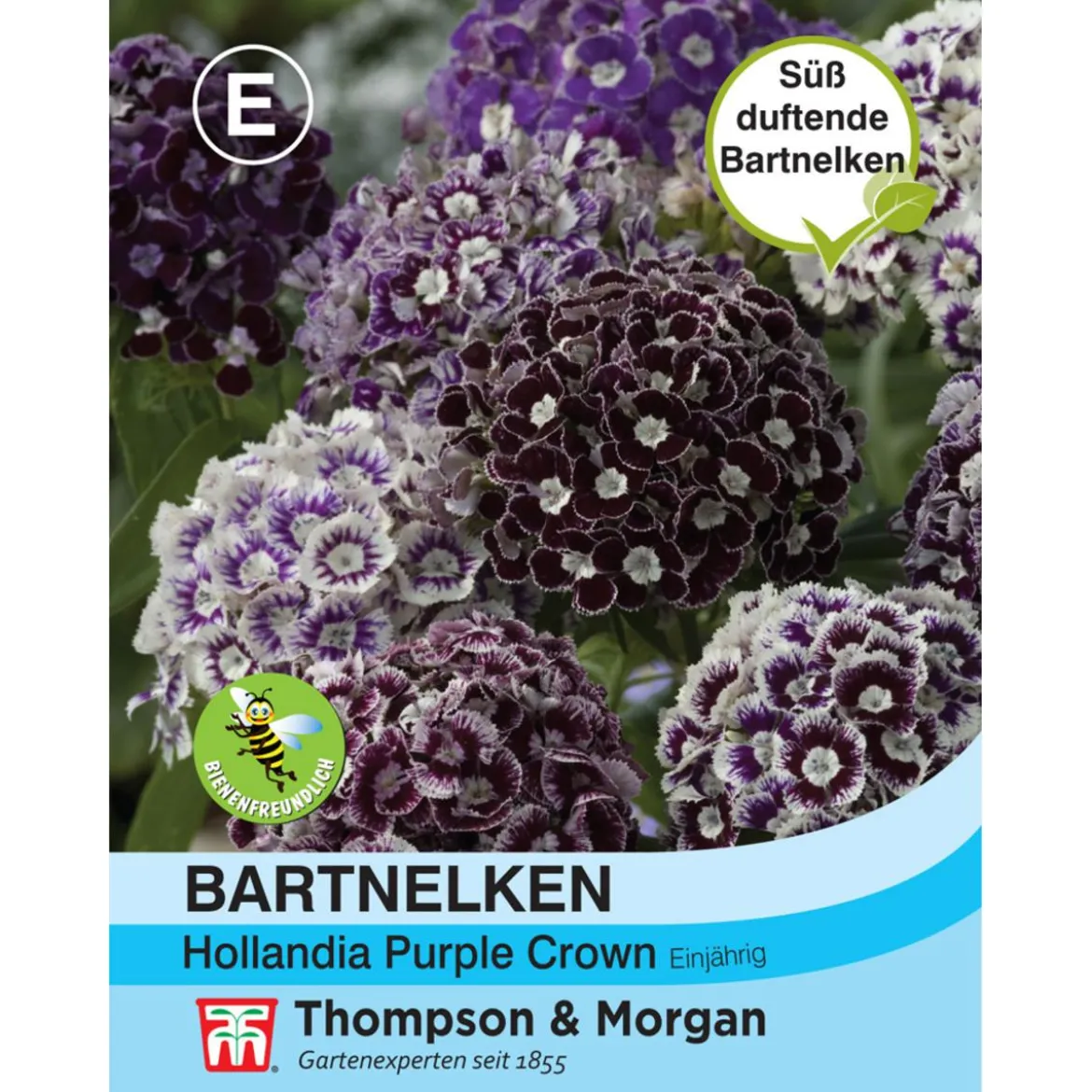 Thompson & Morgan Samen Bartnelken 'Purple Crown'