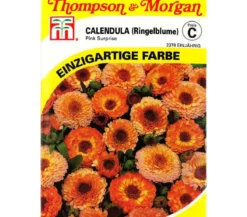 Thompson & Morgan Samen Calendula 'Pink Surprise'