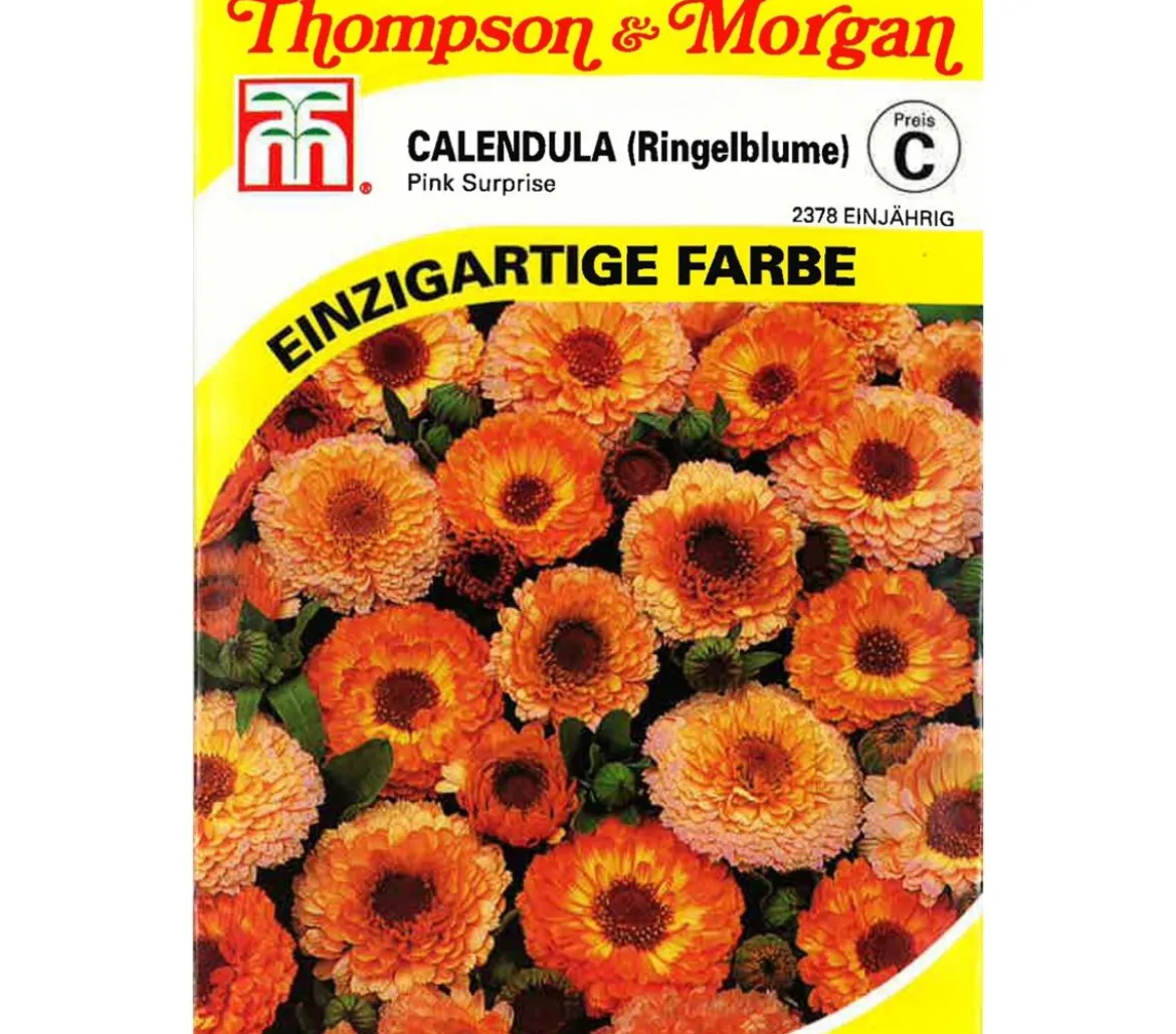 Thompson & Morgan Samen Calendula 'Pink Surprise'