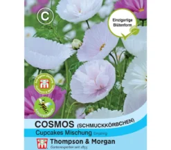 Thompson & Morgan Samen Cosmos 'Cupcakes Mischung