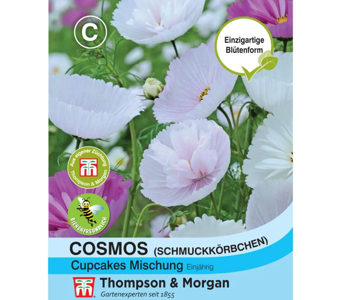 Thompson & Morgan Samen Cosmos 'Cupcakes Mischung