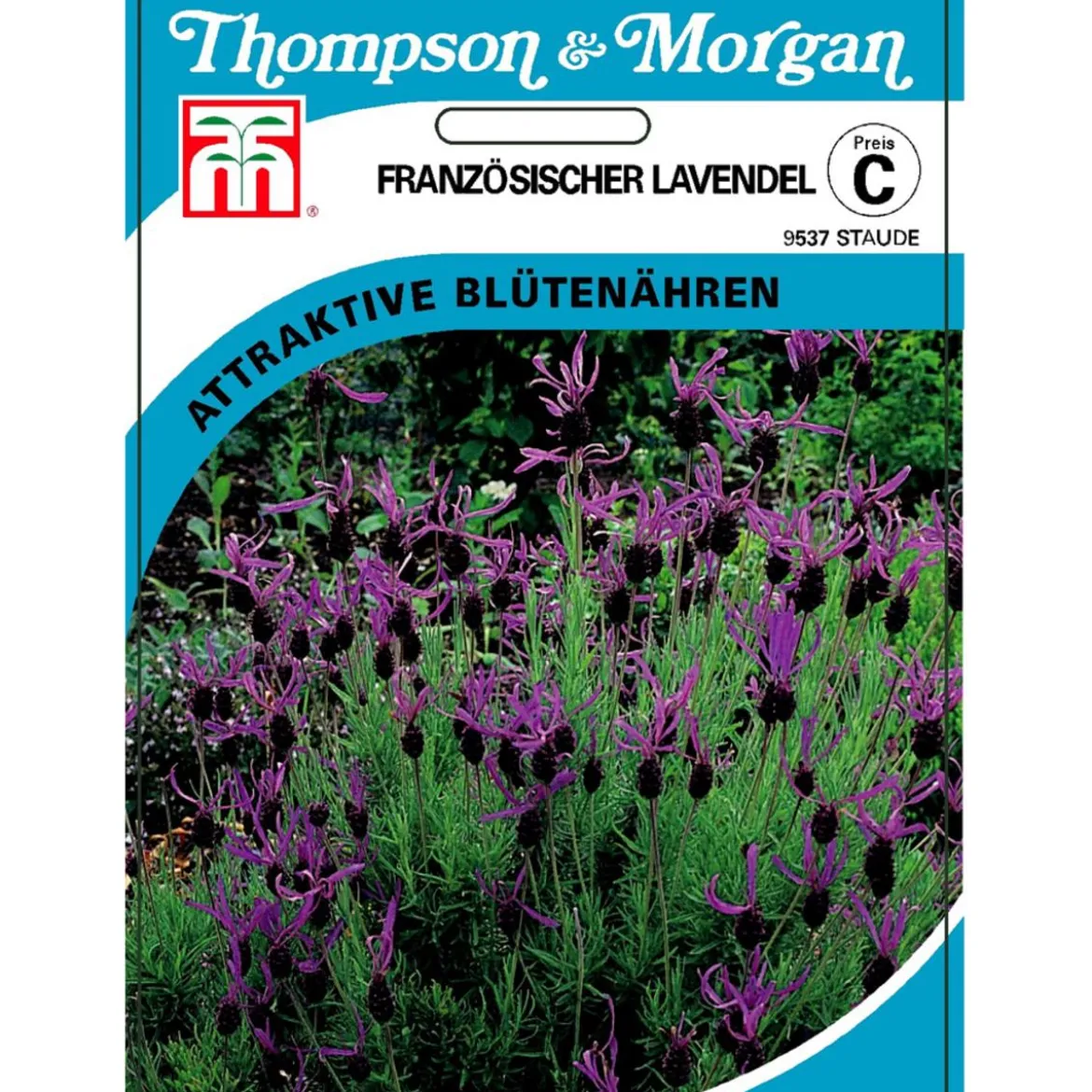 Thompson & Morgan Samen Französischer Lavendel