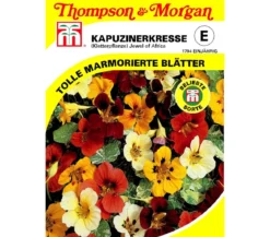 Thompson & Morgan Samen Kapuzinerkresse 'Jewel of Africa'