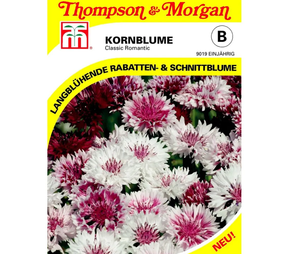 Thompson & Morgan Samen Kornblume 'Classic Romantic'