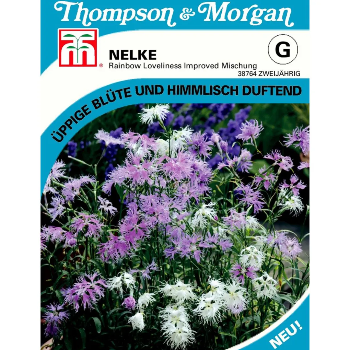 Thompson & Morgan Samen Nelke 'Rainbow Loveliness Improved Mischung'