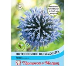 Thompson & Morgan Samen Ruthenische Kugeldistel 'Ritro'