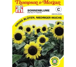 Thompson & Morgan Samen Sonnenblume 'Elite Sun'
