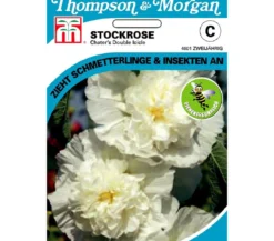 Thompson & Morgan Samen Stockrose 'Chater's Double Icicle'