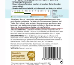 Thompson & Morgan Samen Studentenblume 'Strawberry Blonde'
