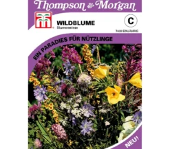 Thompson & Morgan Samen Wildblume 'Blumenwiese'