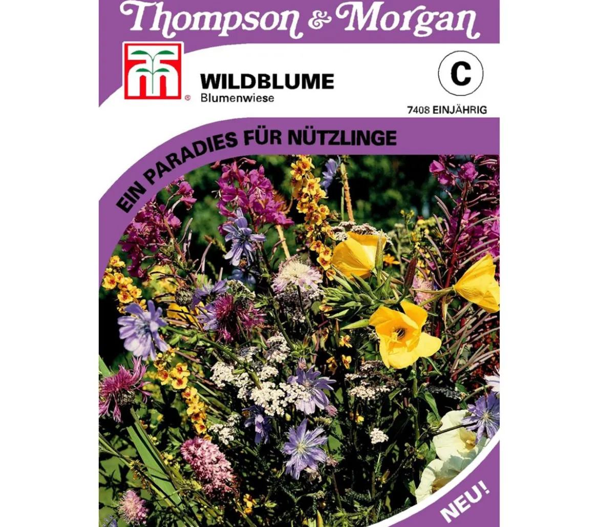 Thompson & Morgan Samen Wildblume 'Blumenwiese'