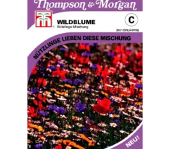 Thompson & Morgan Samen Wildblume 'Nützlings-Mischung'