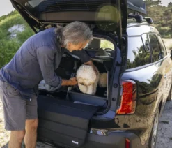 THULE® Allax threshold compatible L Compact Hundetransportbox für Fahrzeuge mit Ladekante, ca. B69/H70/T87-93 cm