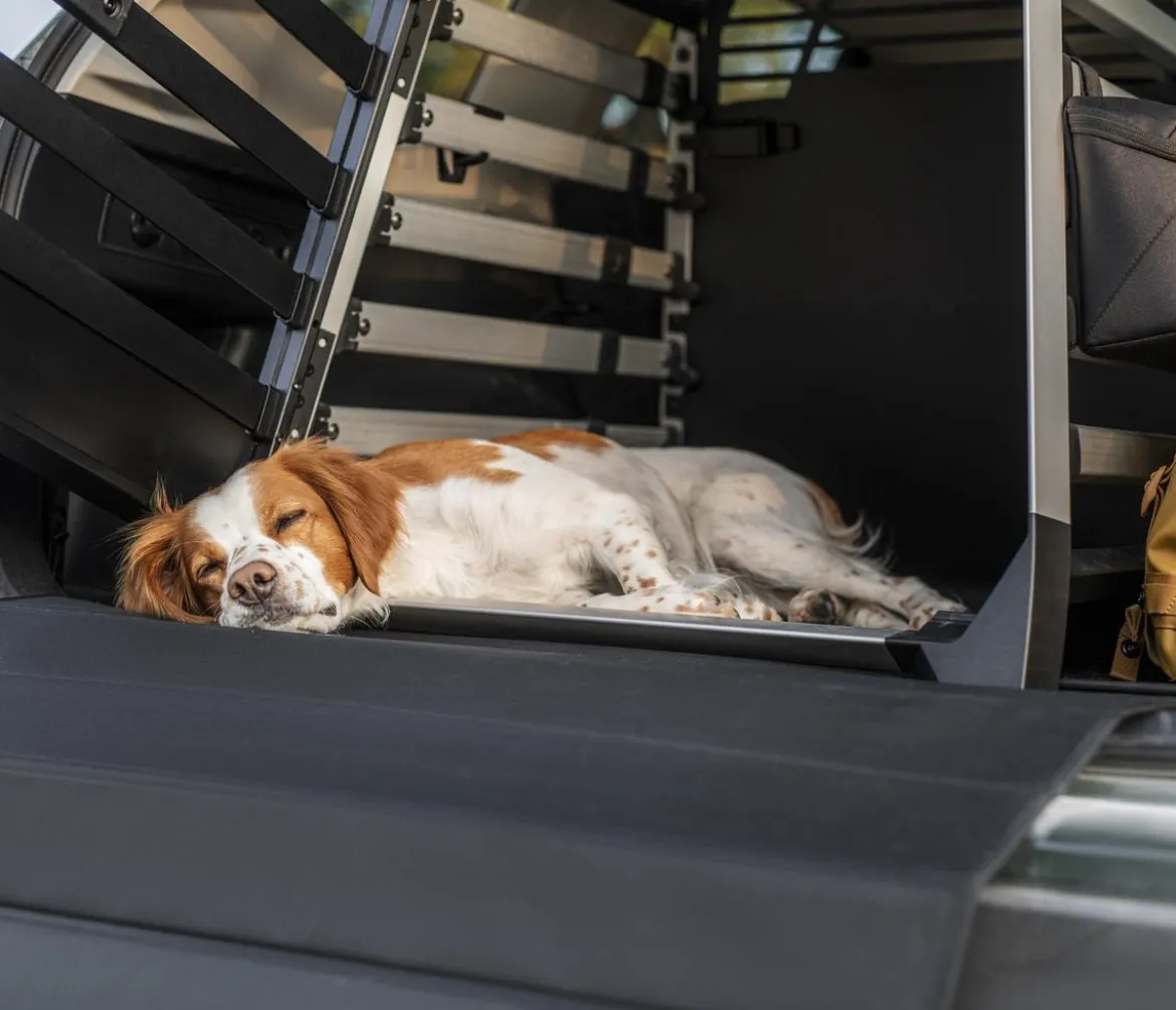 THULE® Allax XL Hundetransportbox, ca. B73/H70/T94-105 cm