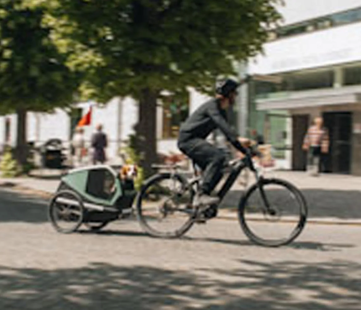 THULE® Bexey Hunde-Fahrradanhänger, Hazy Green