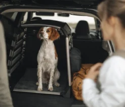THULE® Bodenmatte Dog Crate Mat Standard, ca. B80/H48,3 cm