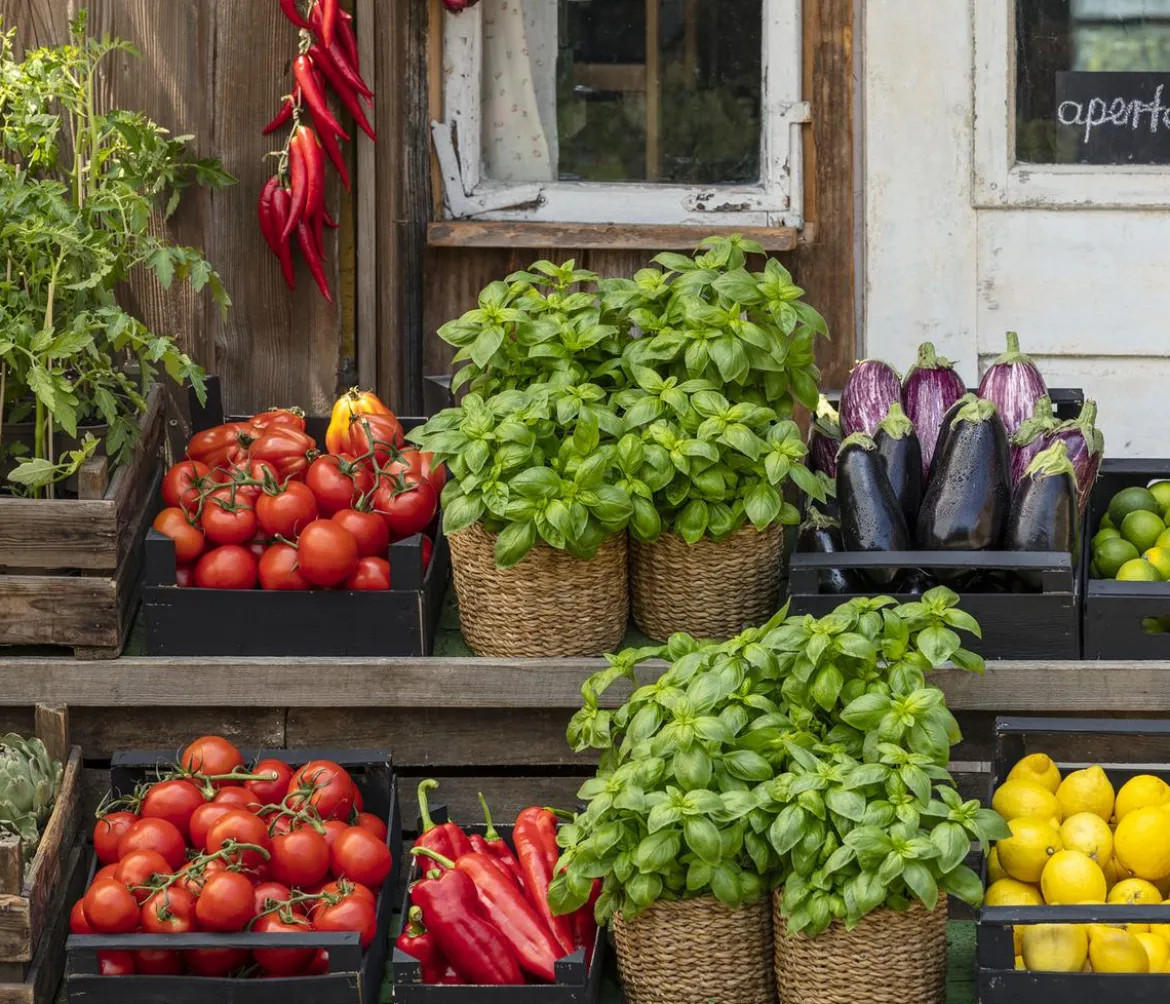 Tomate 'Garance'