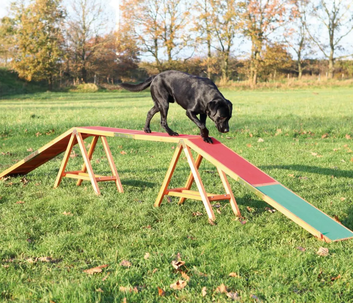 Trixie Agility Steg Fun, ca. B30/H64/T456 cm