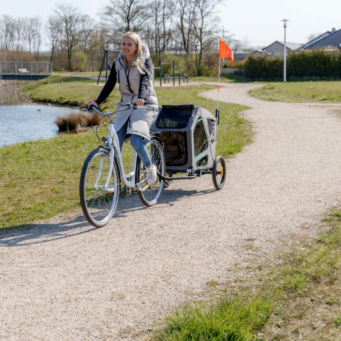 Trixie Hunde-Fahrradanhänger, grau/salbei
