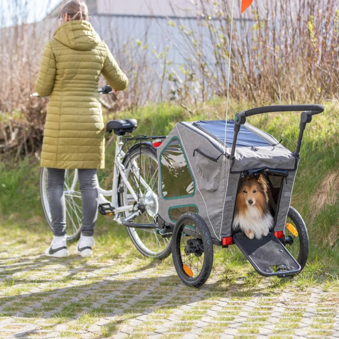 Trixie Hunde-Fahrradanhänger, grau/salbei