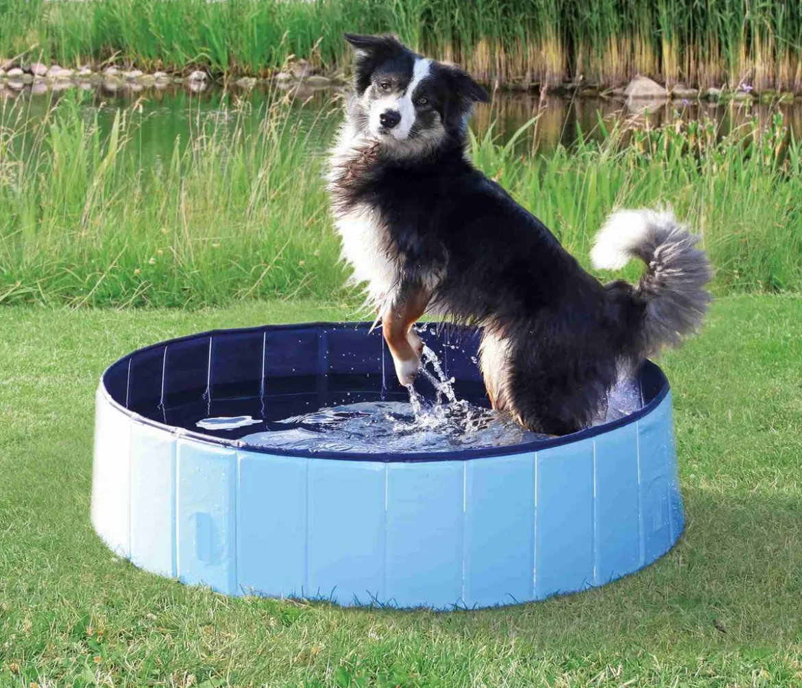 Trixie Hundepool, rund, petrol