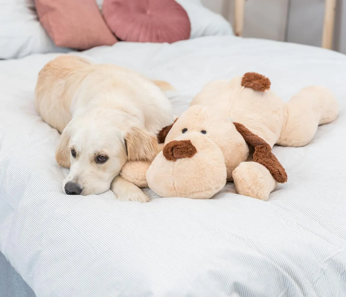 Trixie Hundespielzeug Ankuschelhund Benny