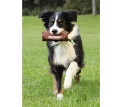 Trixie Hundespielzeug Dog Activity Preydummy
