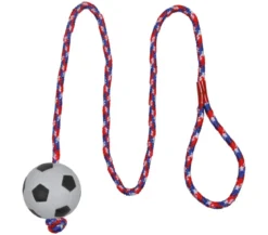 Trixie Hundespielzeug Moosgummifußball am Seil, ca. Ø6 cm