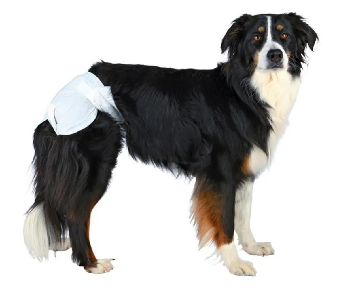 Trixie Hundewindeln, 12 Stück