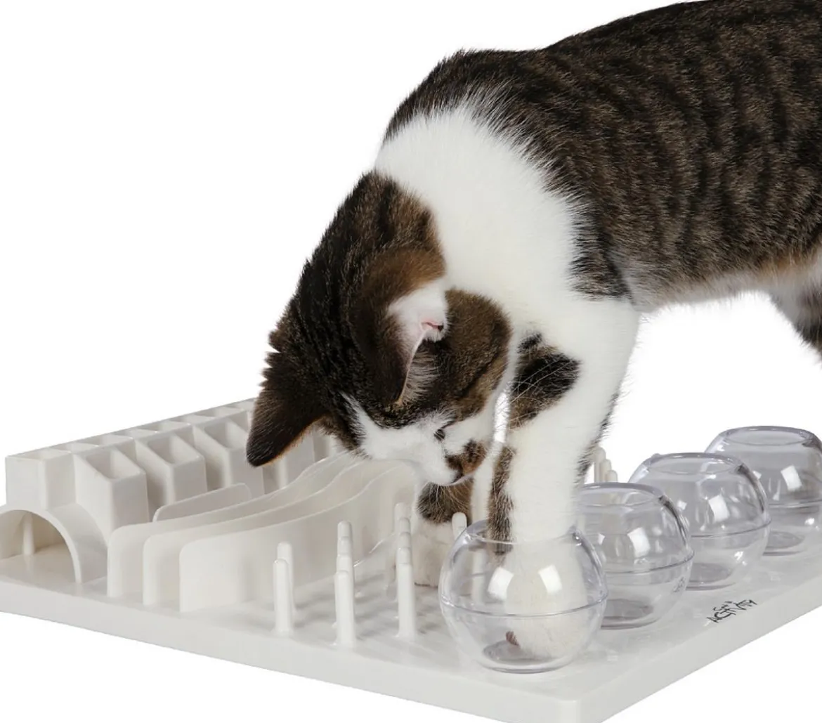 Trixie Katzenspielzeug Fun Board, ca. B30/T40 cm