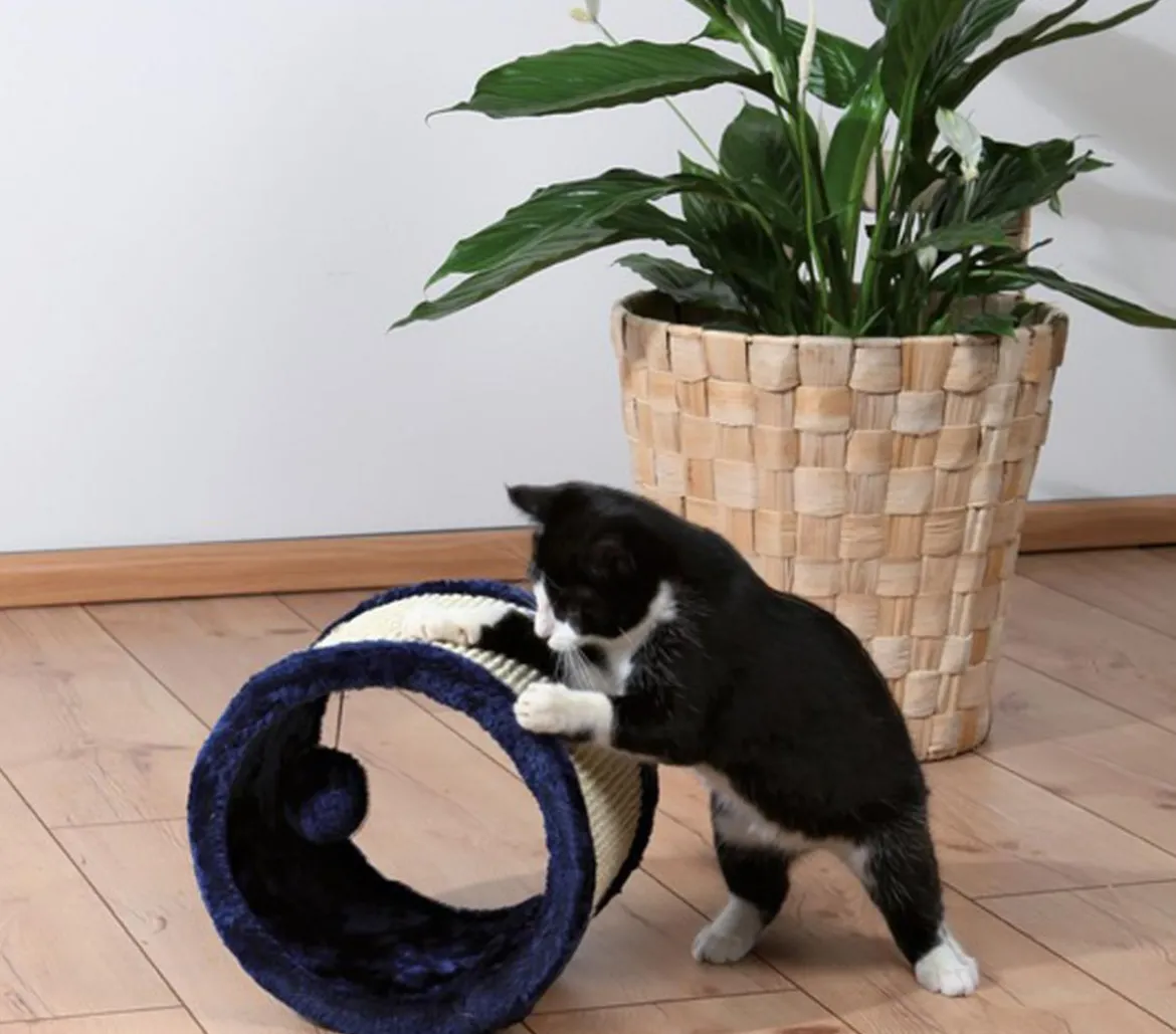 Trixie Katzenspielzeug Spielrolle
