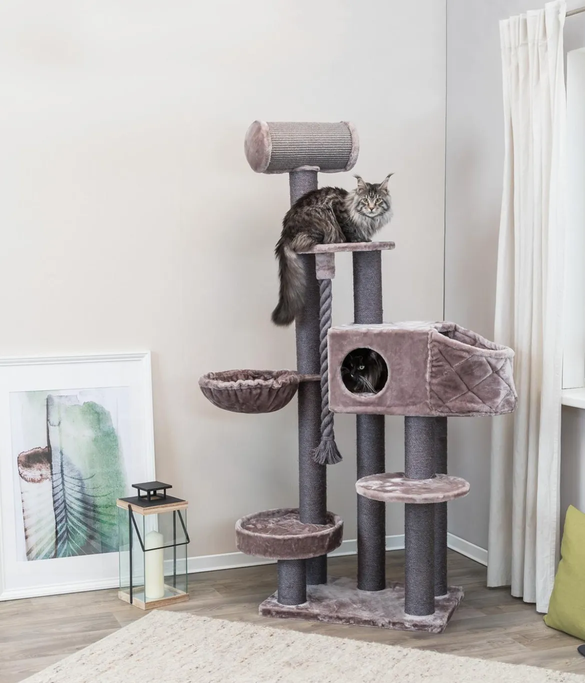 Trixie Kratzbaum XXL Andres, cappucino, ca. B70/H190/T48 cm