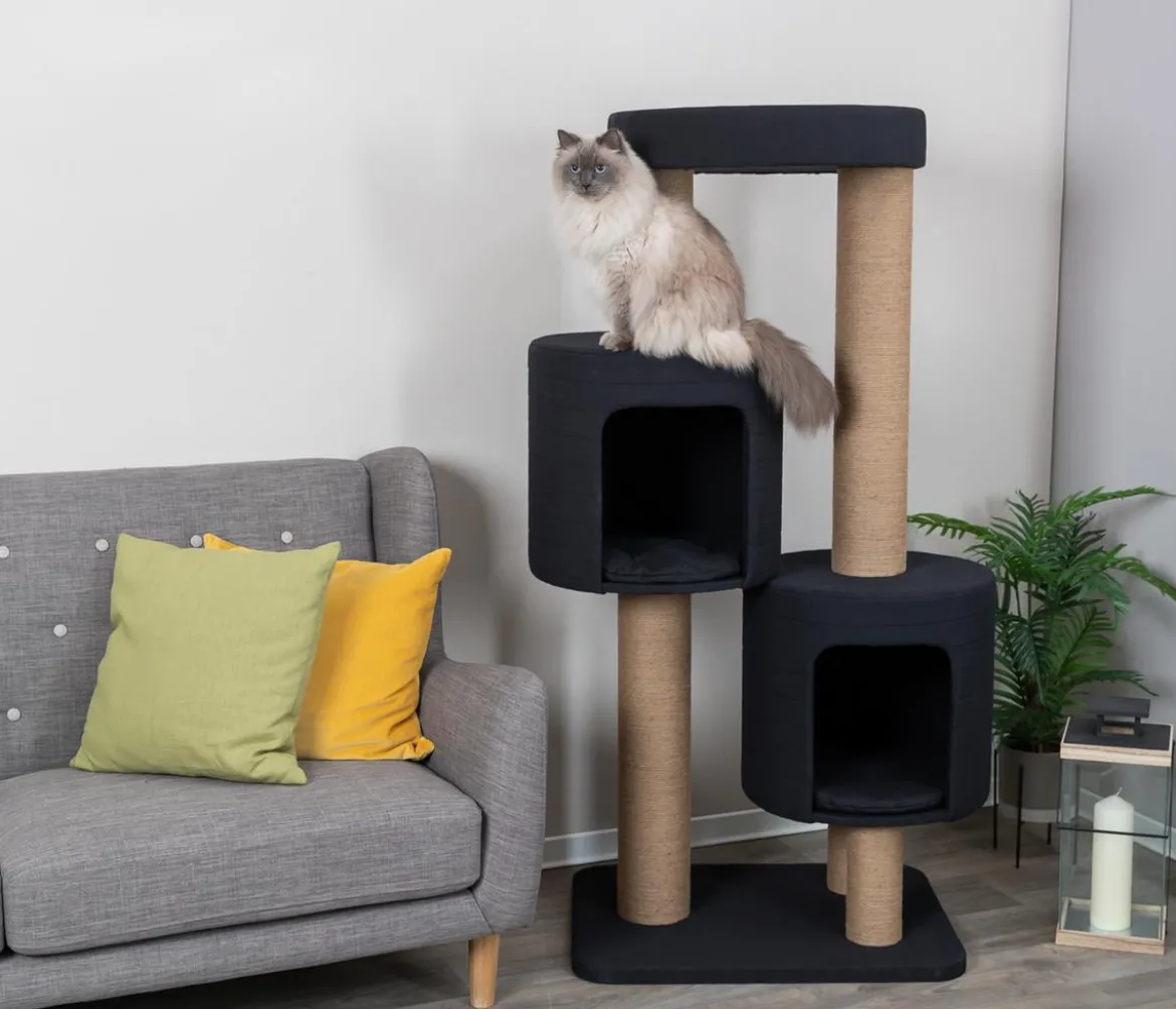 Trixie Kratzbaum XXL Teites, schwarz, ca. B75/H148/T58 cm