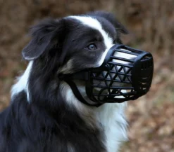 Trixie Maulkorb für Hunde