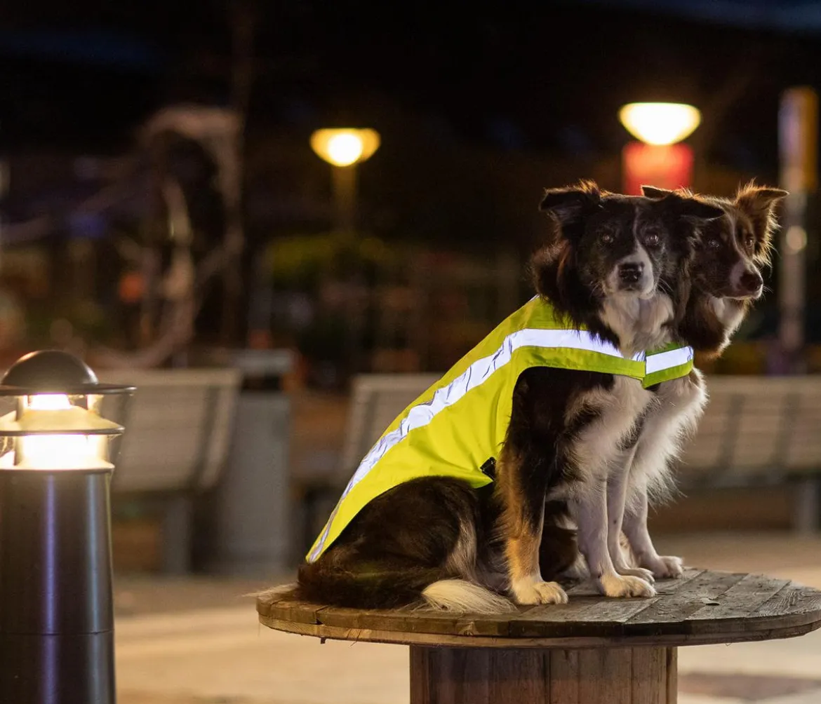 Trixie Sicherheitsweste für Hunde, neongelb
